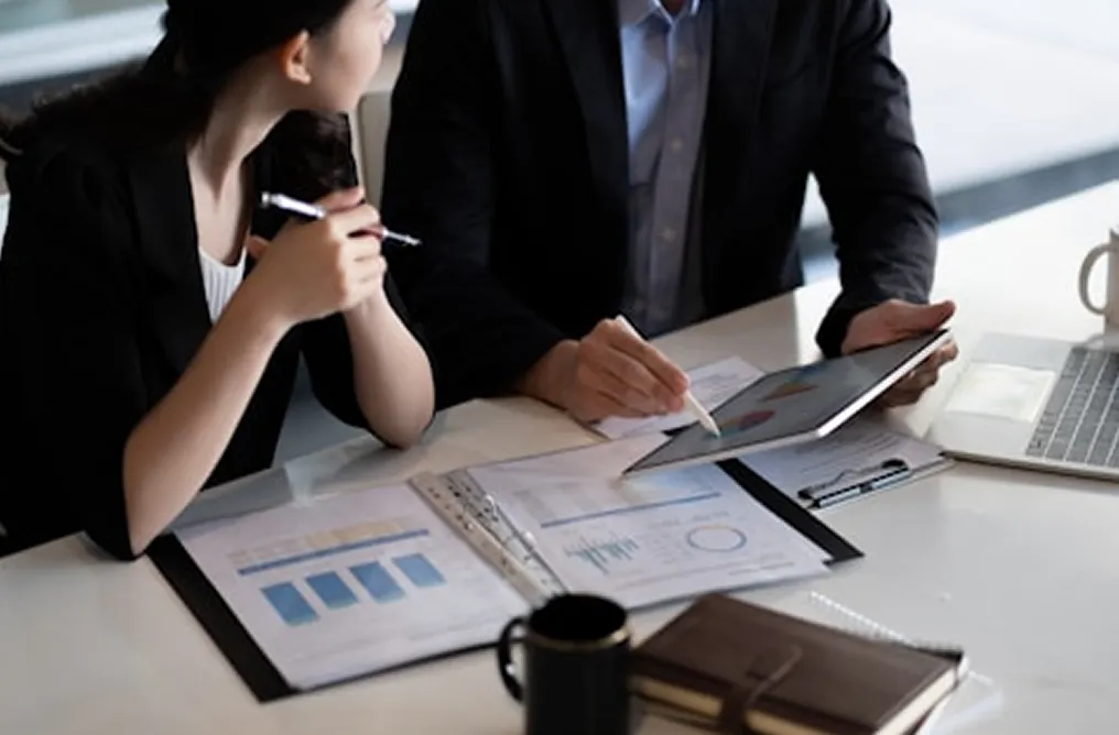 Business Strategy Consultant